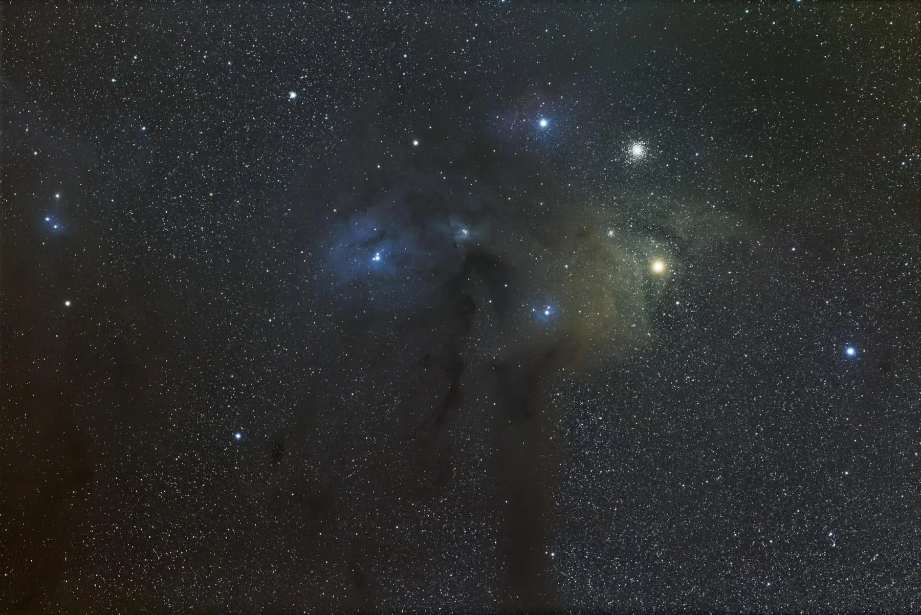 Regione nebulare fotografata da Astrorane